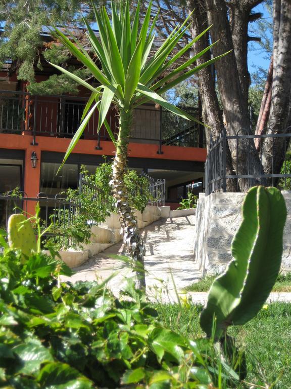 Residenza Mediterranea Zambrone Luaran gambar